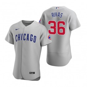 Men's Chicago Cubs Alfonso Rivas Gray Authentic Road Jersey