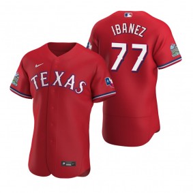 Men's Texas Rangers Andy Ibanez Nike Scarlet Authentic Alternate Jersey
