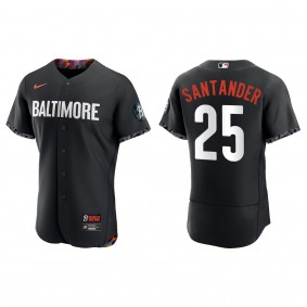 Anthony Santander Baltimore Orioles Nike Black 2023 City Connect Authentic Jersey
