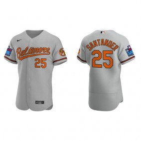 Anthony Santander Baltimore Orioles Gray 2022 Little League Classic Authentic Jersey