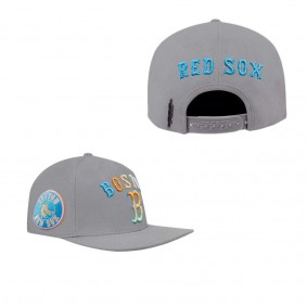 Boston Red Sox Pro Standard Washed Neon Snapback Hat Gray