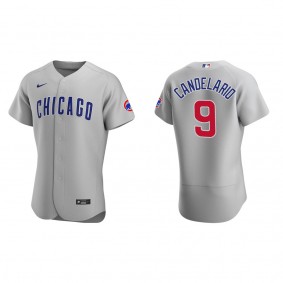 Men's Chicago Cubs Jeimer Candelario Gray Authentic Road Jersey