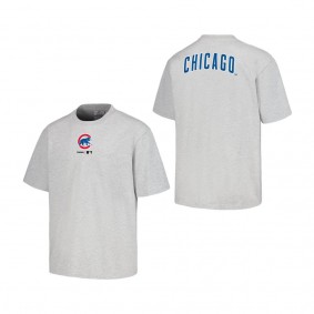 Men's Chicago Cubs PLEASURES Gray Mascot T-Shirt