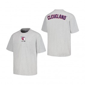 Men's Cleveland Guardians PLEASURES Gray Mascot T-Shirt