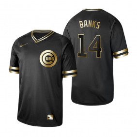 Chicago Cubs Ernie Banks Nike Black Golden Jersey