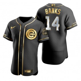 Chicago Cubs Ernie Banks Nike Black Golden Edition Authentic Jersey