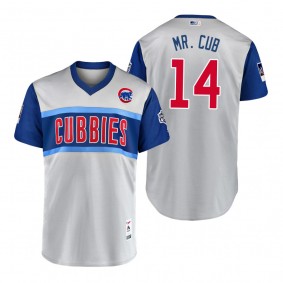 Chicago Cubs Ernie Banks Mr. Cub Gray 2019 Little League Classic Replica Jersey