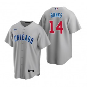 Men's Chicago Cubs Ernie Banks Nike Gray Replica Road Jersey