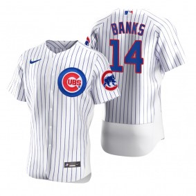 Chicago Cubs Ernie Banks Nike White 2020 Authentic Jersey