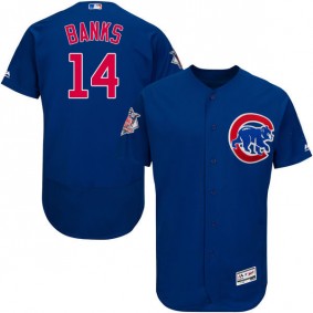 Male Chicago Cubs Ernie Banks #14 Royal Collection Flexbase Player Jersey