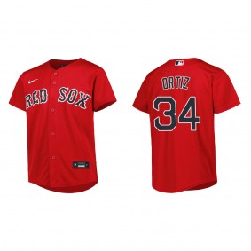 David Ortiz Youth Boston Red Sox Red Alternate Replica Jersey