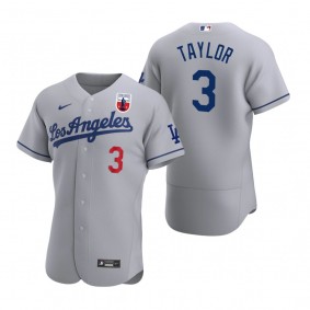 Men's Los Angeles Dodgers Chris Taylor Nike Gray Negro Leagues Authentic Jersey