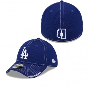 Men's Los Angeles Dodgers Royal 2023 Spring Training Mesh 39THIRTY Flex Hat
