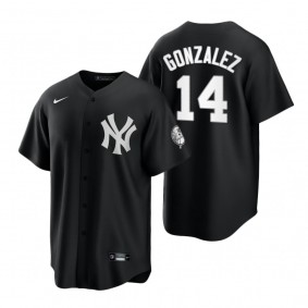 New York Yankees Marwin Gonzalez Nike Black White Replica Official Jersey