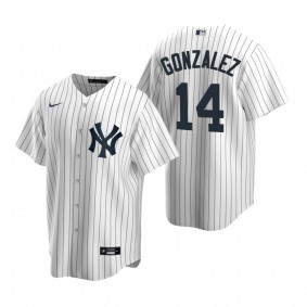 New York Yankees Marwin Gonzalez Nike White Replica Home Jersey
