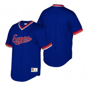 Montreal Expos Blue Cooperstown Collection Mesh Wordmark V-Neck Mitchell & Ness Jersey Men's