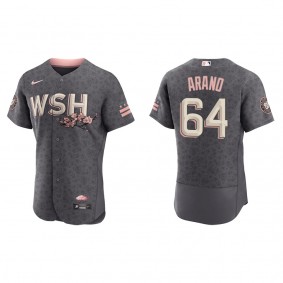 Men's Victor Arano Washington Nationals Gray City Connect Authentic Jersey