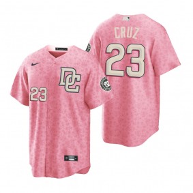 Washington Nationals Nelson Cruz Special Edition Pink City Connect jersey