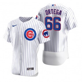 Men's Chicago Cubs Rafael Ortega Nike White Authentic Home Jersey
