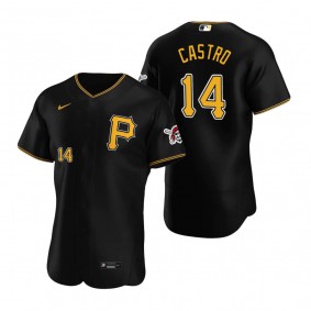 Men's Pittsburgh Pirates Rodolfo Castro Black Authentic Alternate Jersey