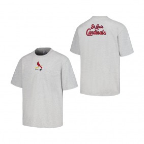 Men's St. Louis Cardinals PLEASURES Gray Mascot T-Shirt