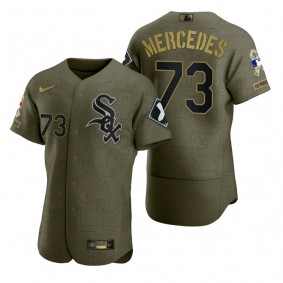 Chicago White Sox Yermin Mercedes Green 2021 Salute to Service Digital Camo Jersey