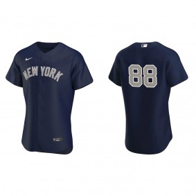 Men's New York Yankees Austin Wells Navy Authentic Jersey