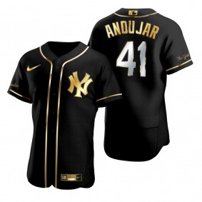 New York Yankees Miguel Andujar Nike Black Golden Edition Authentic Jersey
