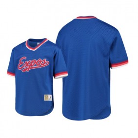 Montreal Expos Blue Cooperstown Collection Mesh Wordmark V-Neck Mitchell & Ness Jersey Youth